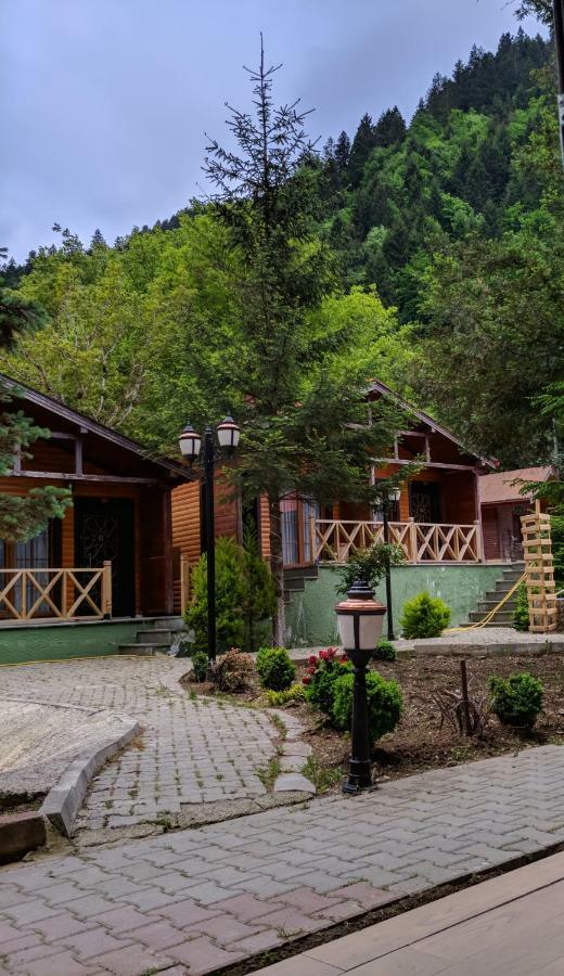 Centro Park Hotel Uzungöl Camera foto